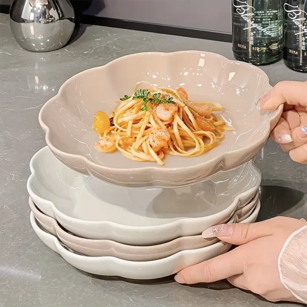 4pcs Ceramic Dinner Plate Set