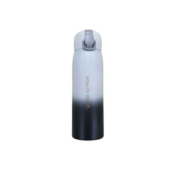 NS1375BKWT1 Gradient Thermos Bottle (Random Colour)